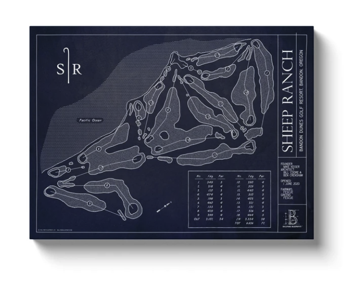 Ballpark Blueprint - Canvas
